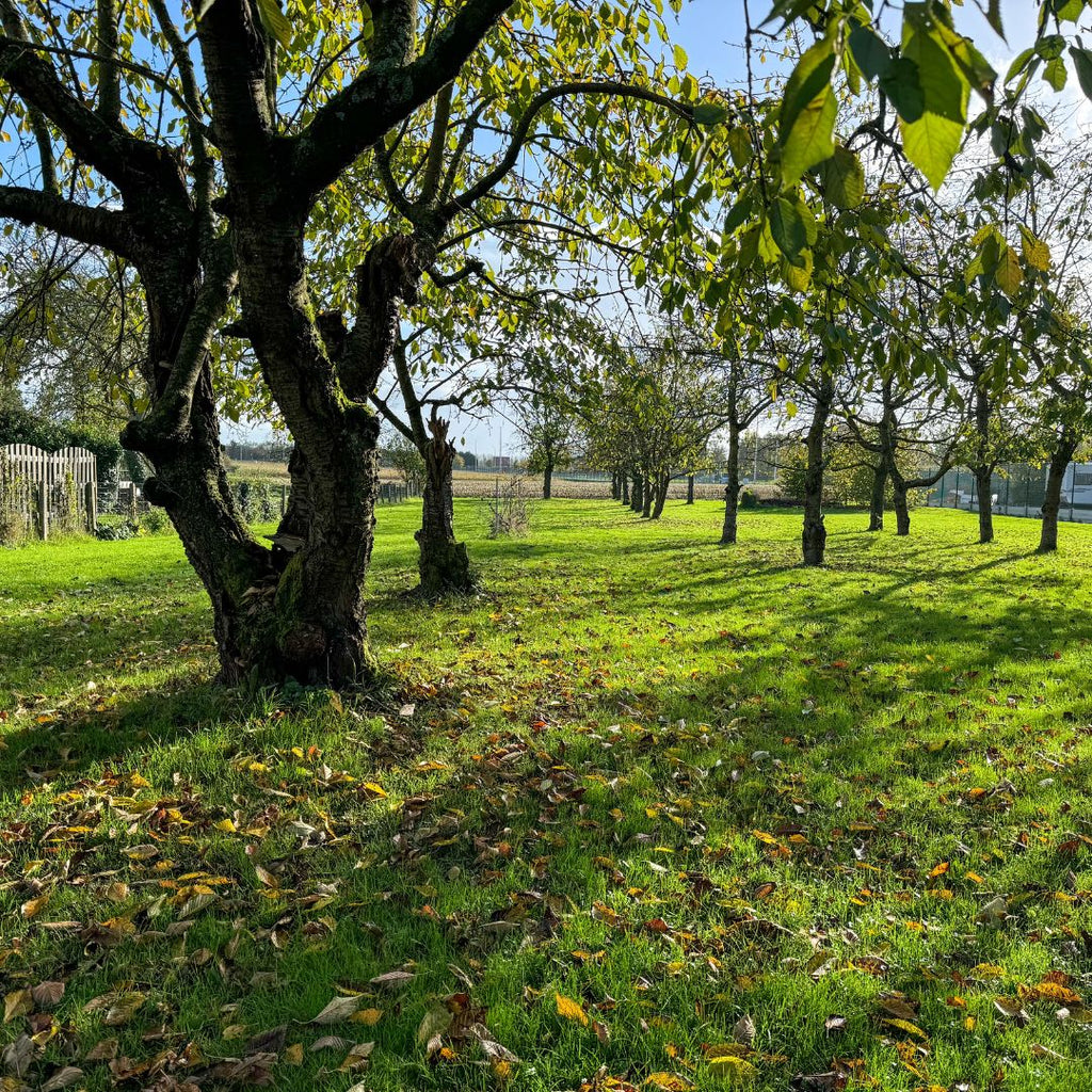 Zavelstraat is verkocht!